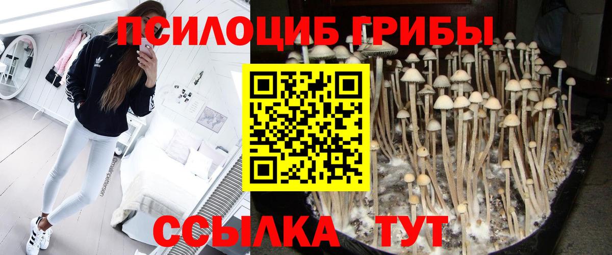 Галлюциногенные грибы прущие грибы  Вход с VPN  Набережные Челны 